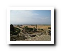 Madinat Al-Zahra - 