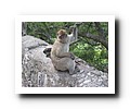 Gibraltar - 