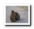 Gibraltar - 