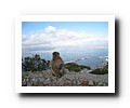 Gibraltar - 