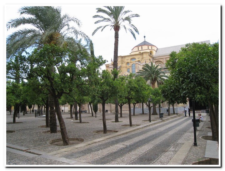 Cordoba - Mezqita-Catedral, Patio de los Naranjos