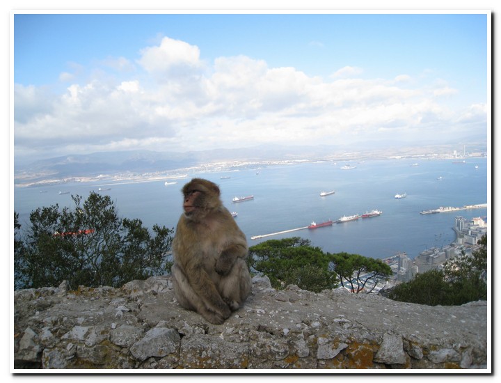 Gibraltar - 