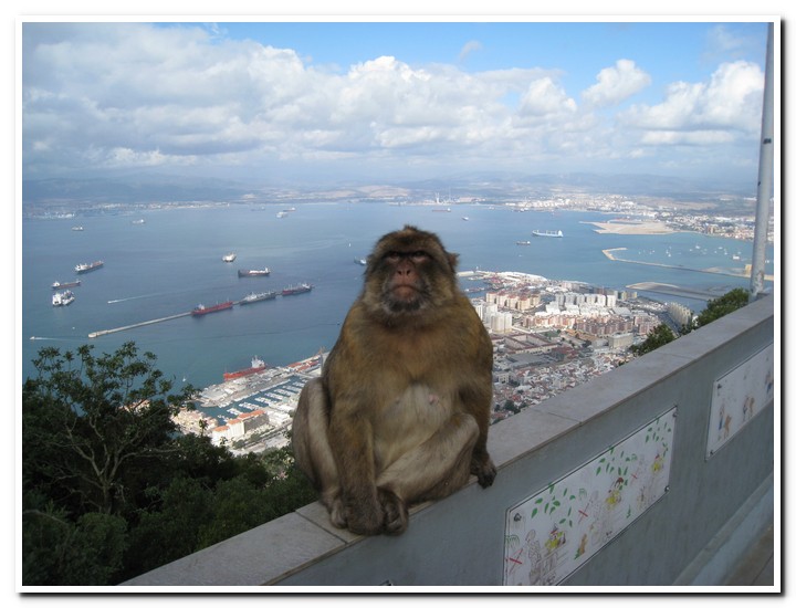 Gibraltar - 
