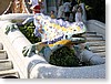 DSC00919.JPG