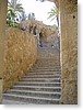 DSC00925.JPG