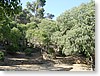 DSC00955.JPG