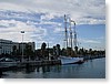 DSC01008.JPG