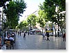 DSC01011.JPG