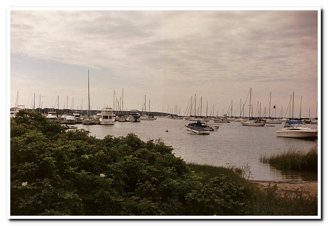 
Cape Cod