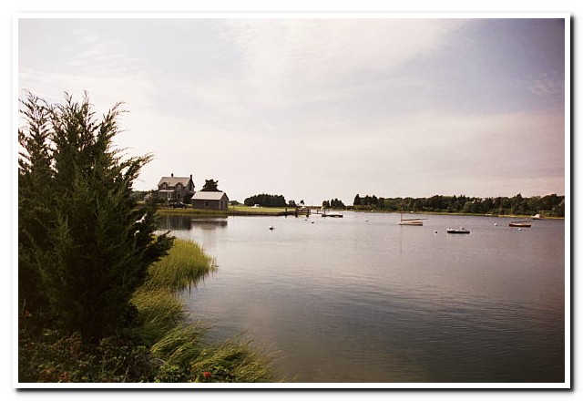 
Cape Cod