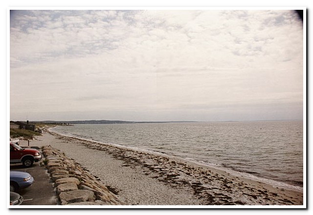 
Cape Cod