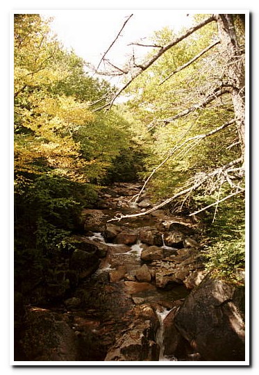 Franconia Notch State Park
White Mountains