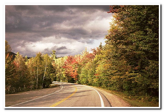 
White Mountains