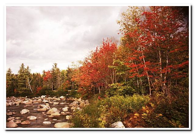 
White Mountains