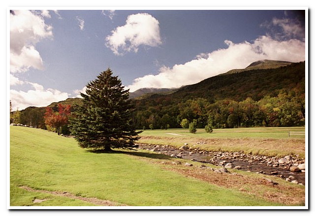 
White Mountains
