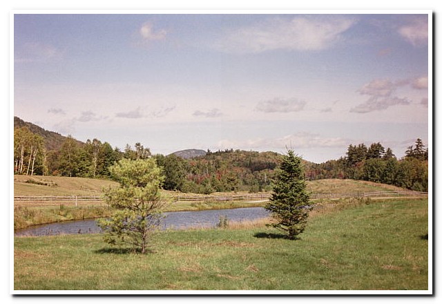 
White Mountains