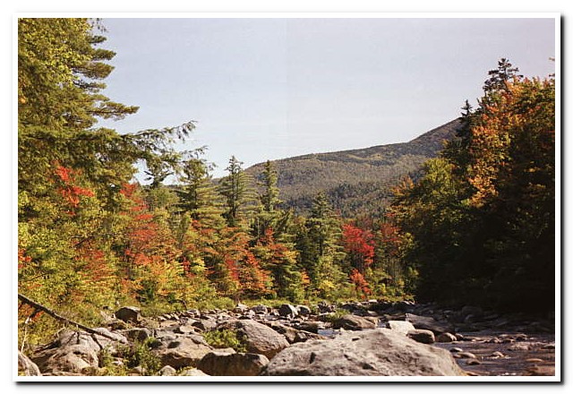 
White Mountains