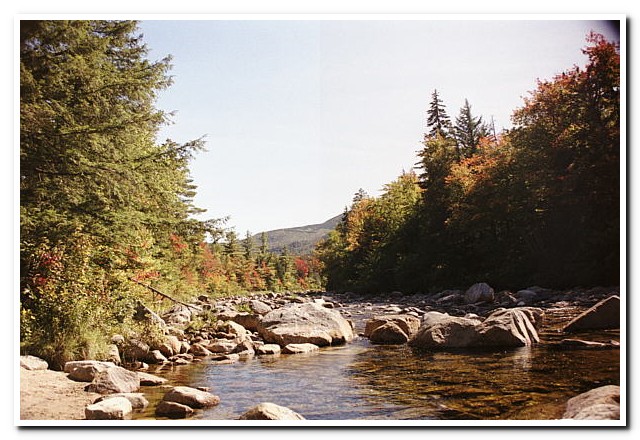 
White Mountains