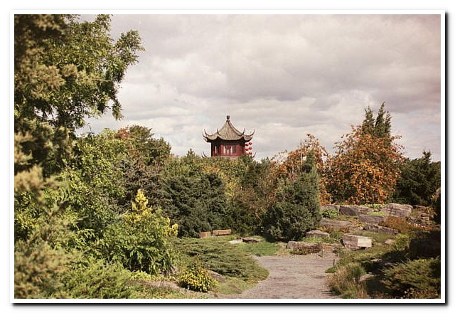 
Montreal