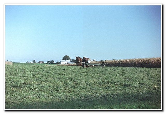 
Amish County