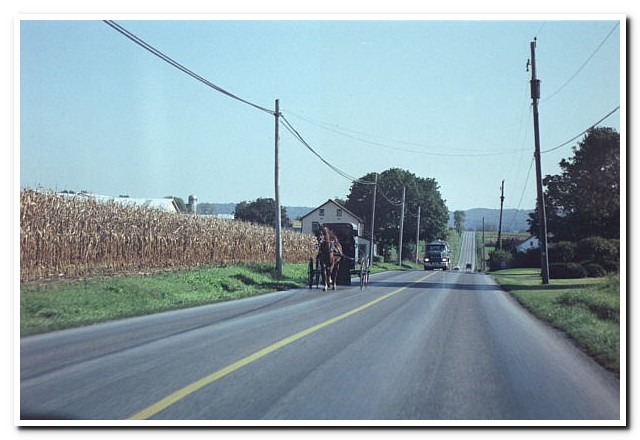 
Amish County