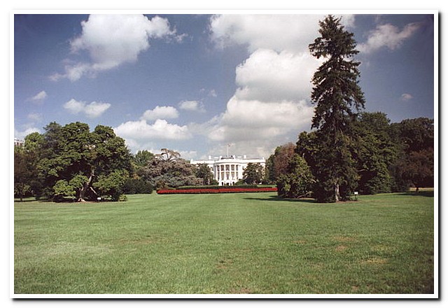 White House
Washington