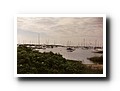 
Cape Cod