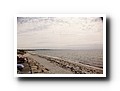 
Cape Cod