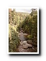 Franconia Notch State Park
White Mountains