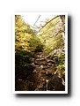 Franconia Notch State Park
White Mountains