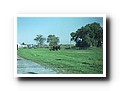 
Amish County