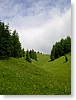 DSC00808.JPG