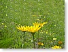 DSC00839.jpg