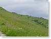 DSC00843.JPG