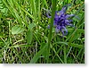 DSC00849.JPG
