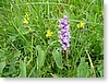 DSC00850.JPG