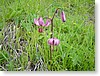 DSC00861.JPG