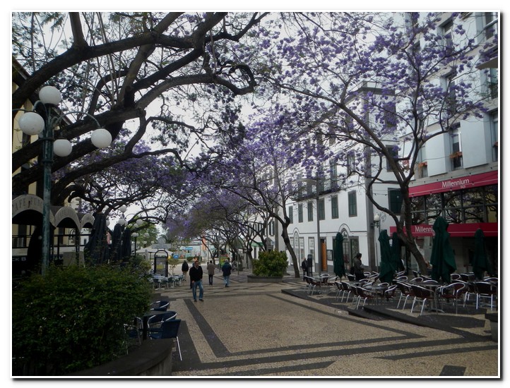 Funchal
