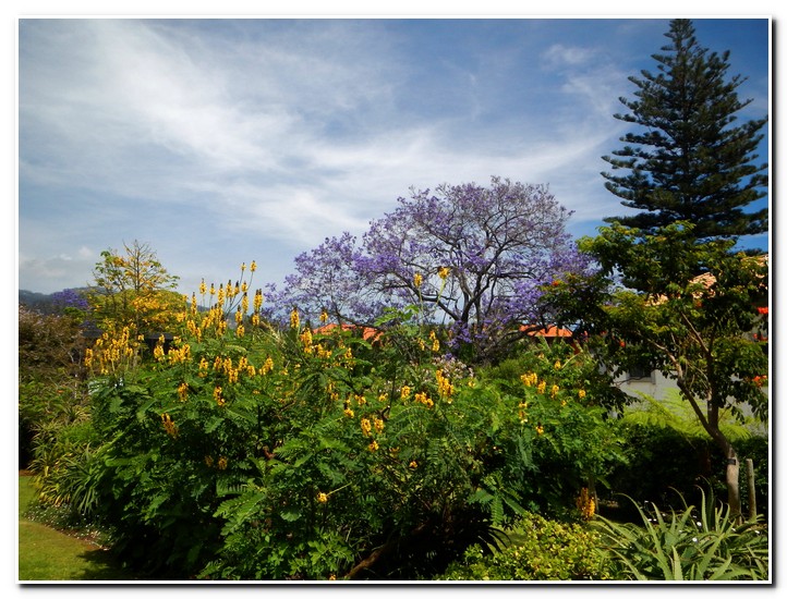 Funchal
