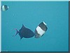 fische_154.jpg