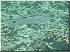 fische_177.jpg