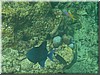 fische_196.jpg