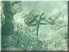 fische_224.jpg