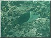 fische_235.jpg