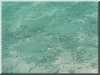 fische_246.jpg