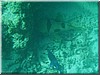 fische_298.jpg