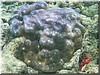 fische_008.jpg