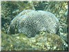 fische_015.jpg