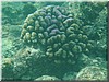 fische_023.jpg