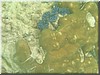 fische_147.jpg